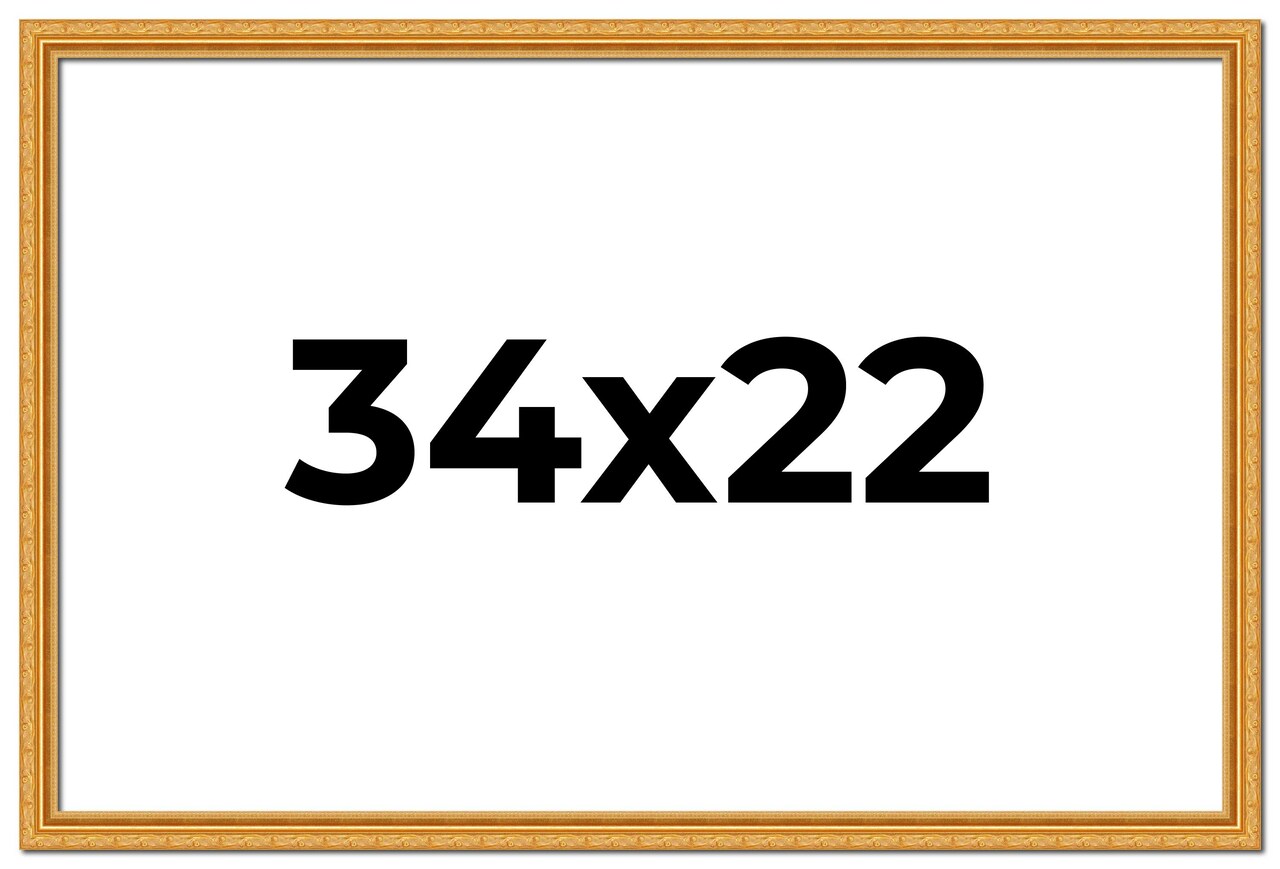 34x22 Solid Wood Antique Picture Frame with UV-Resistant Acrylic & Acid-Free Backing, Available in 4 Finishes: Bronze, Gold, Silver, and Gold with Black